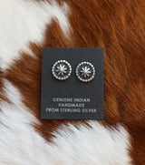 The Tiffany Earrings